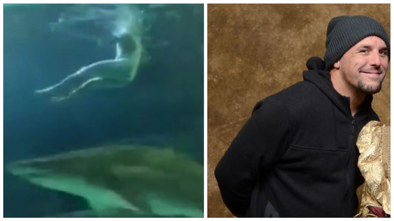 Man Accused Of Swimming Naked At Torontos Ripleys Aquarium Expected My Xxx Hot Girl