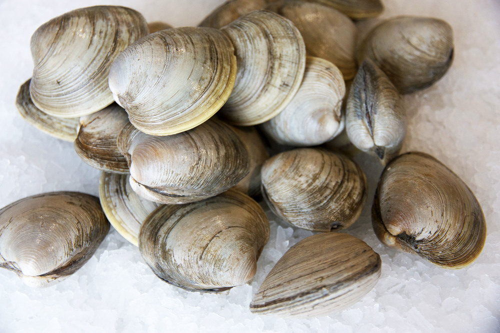 Mentioned that. Моллюски Монако. Shellfish. Океанический Куахог. Razor Clams - морской черенок.