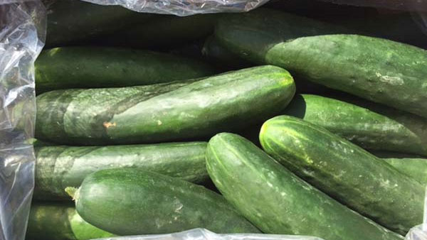 CFIA makes second cucumber recall in less than a week in B.C., Alberta