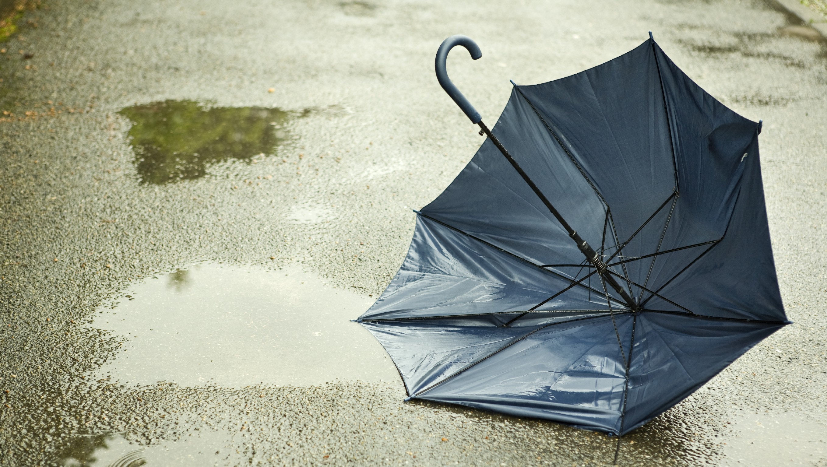 Забытый зонтик. Сломанный зонт. Зонтик под дождем. Рваный зонт. Зонт под дождем.