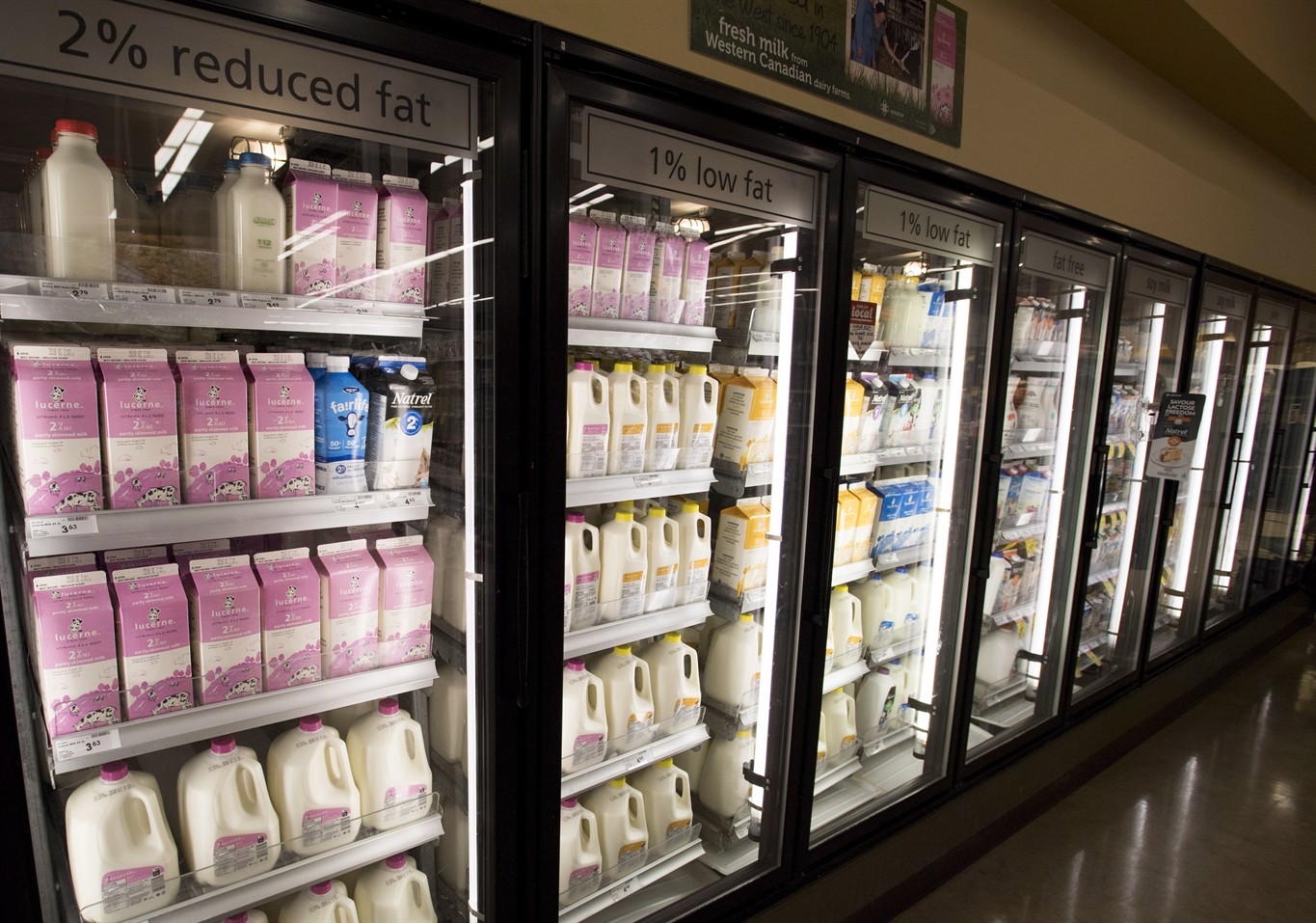 What the new 10-cent deposit on milk containers means for B.C.