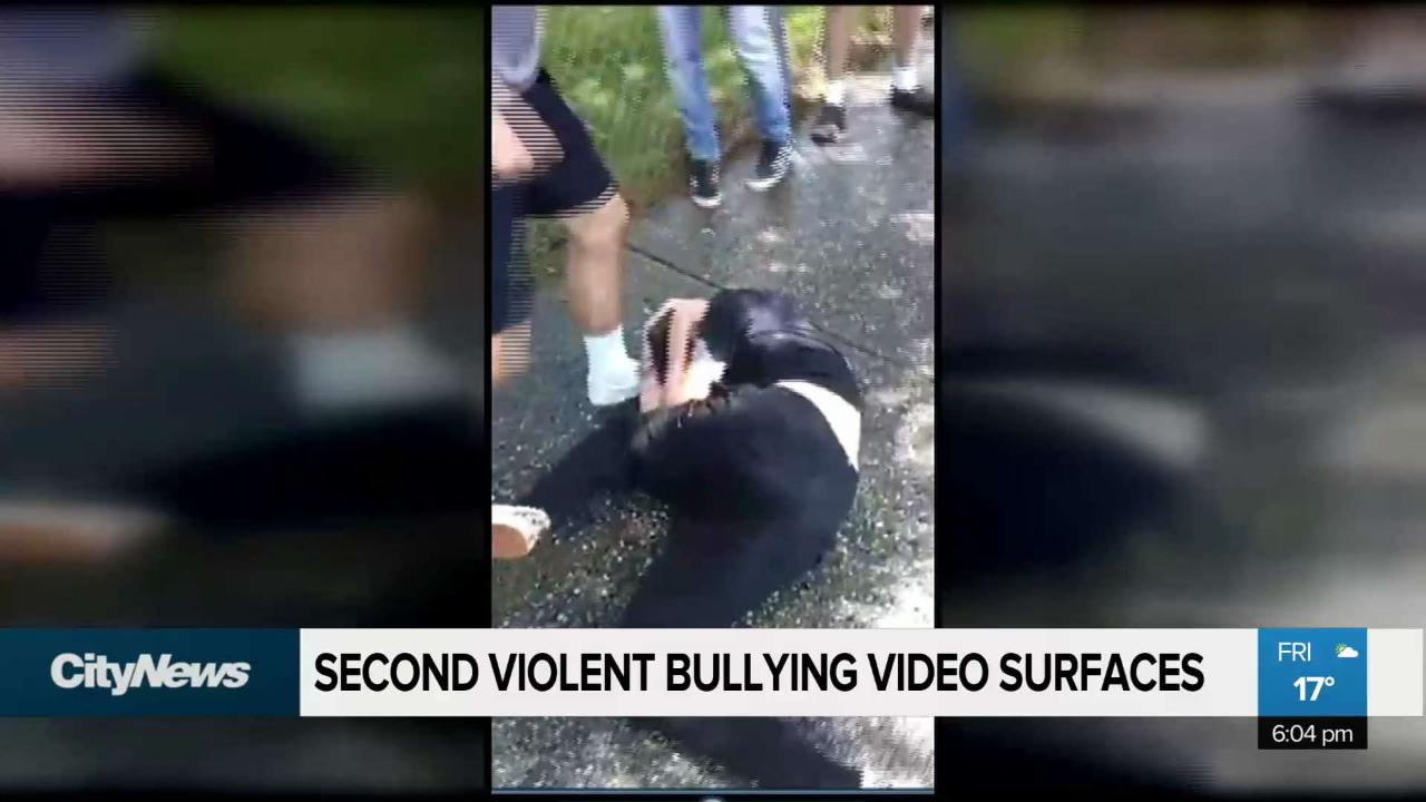 Second Incident Of Violent Bullying Caught On Video | CityNews Vancouver