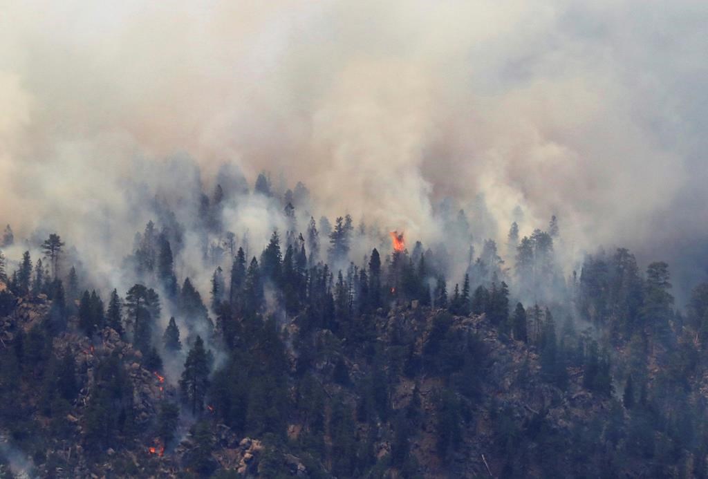 Fire crews try to keep blaze away from Arizona homes, resort | CityNews ...