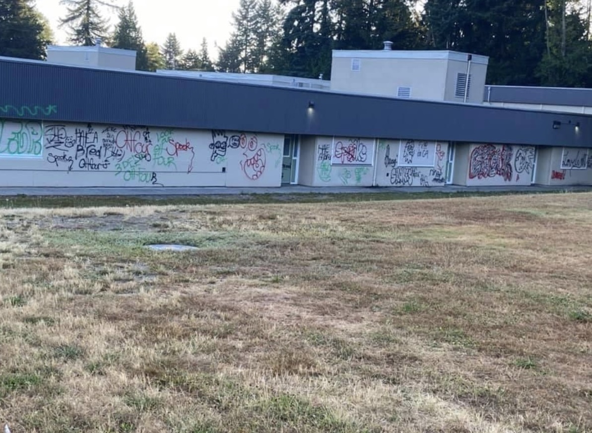 Two Langley elementary schools vandalized with graffiti CityNews