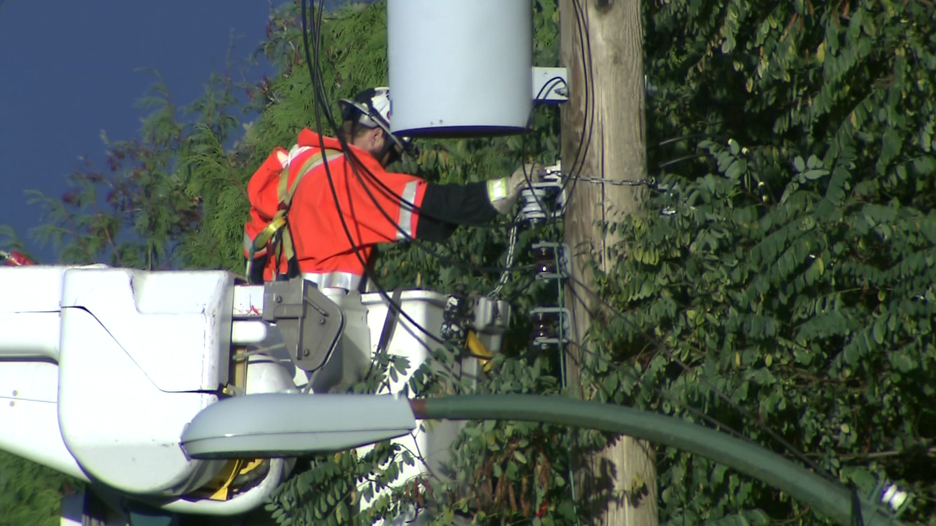 BC Hydro sees recordbreaking electricity demand CityNews Vancouver