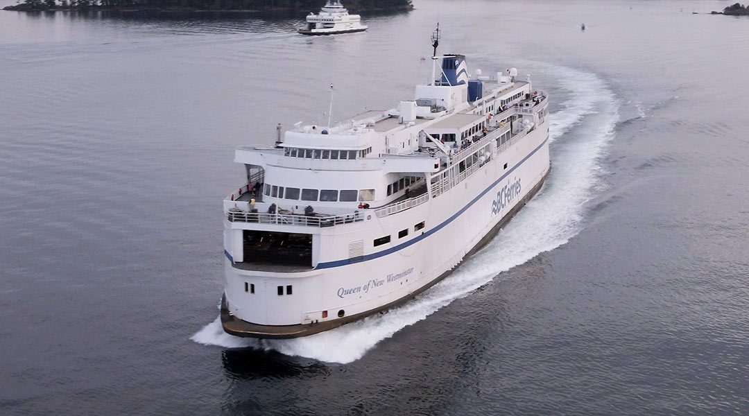 can you take a dog on a ferry as a foot passenger