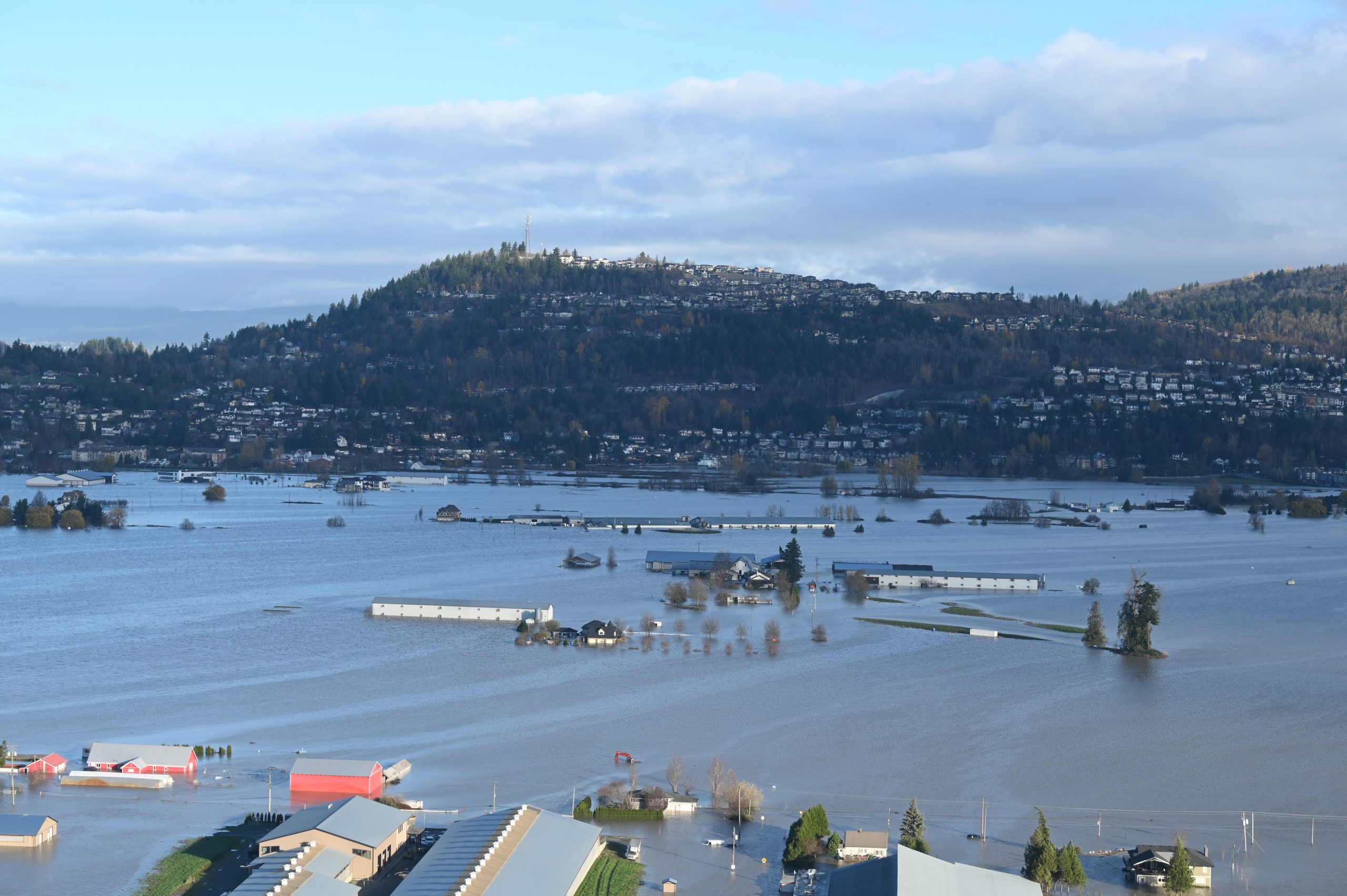 B.C. Flood: Abbotsford Farmer Says He Couldn't Save Thousands Of Chickens