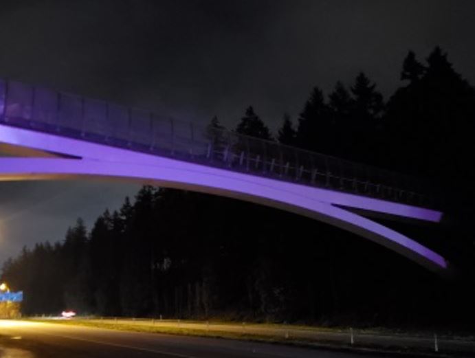 An overpass along Highway 99 seen from below in the night