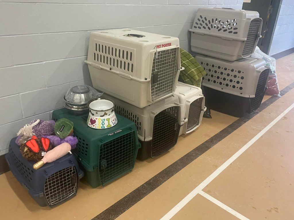 A photo of the animal crates available at a makeshift cold weather shelter in Langley