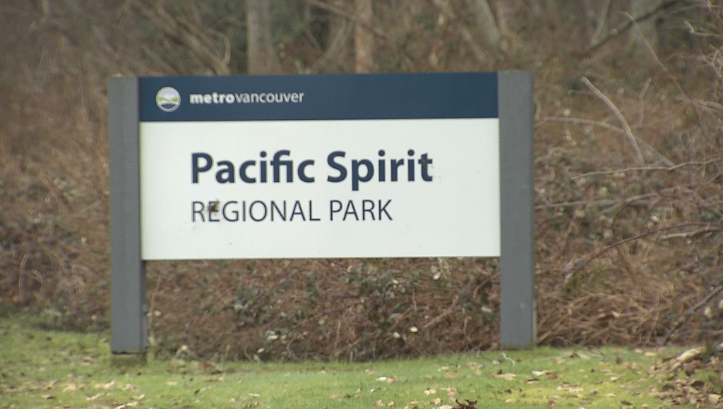 Pacific Spirit Park