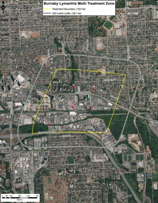 https://vancouver.citynews.ca/wp-content/blogs.dir/sites/9/2022/05/19/burnaby-spraying-area.png