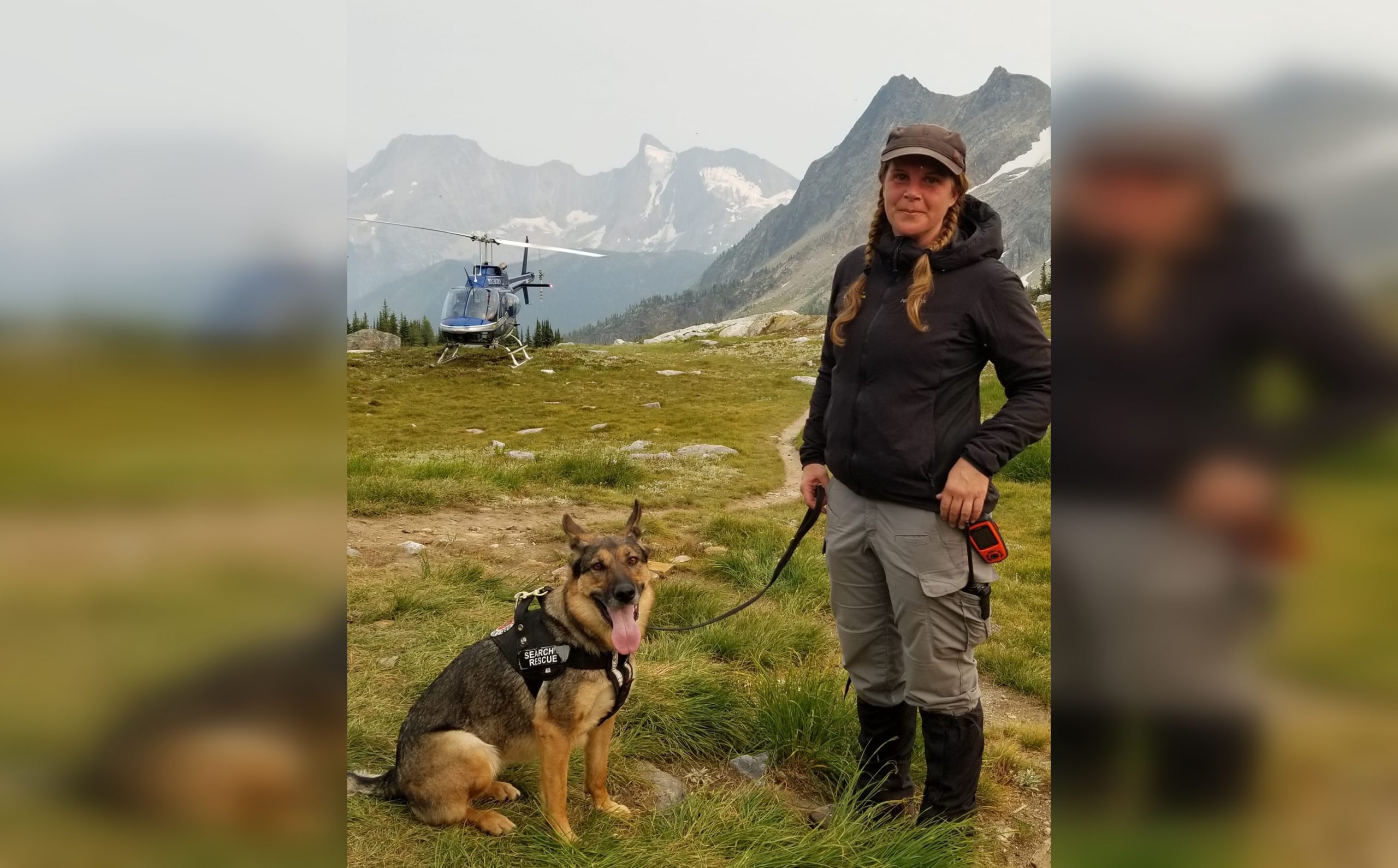 Kamloops Search and Rescue dog killed in hit and run CityNews Vancouver