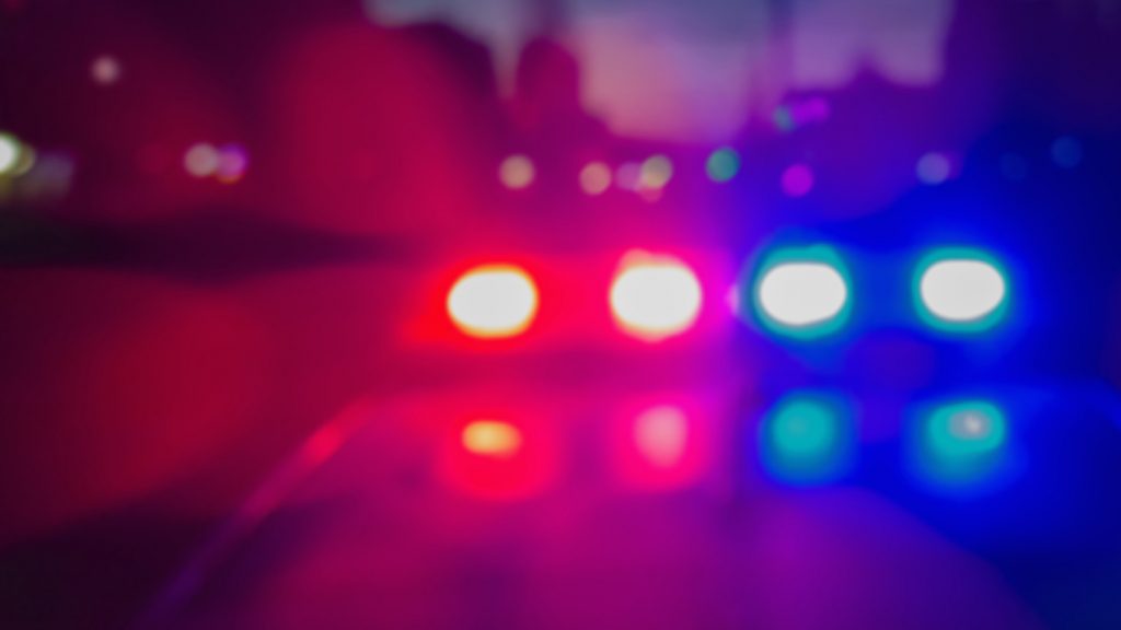 FILE - Police lights. (iStock Photo)