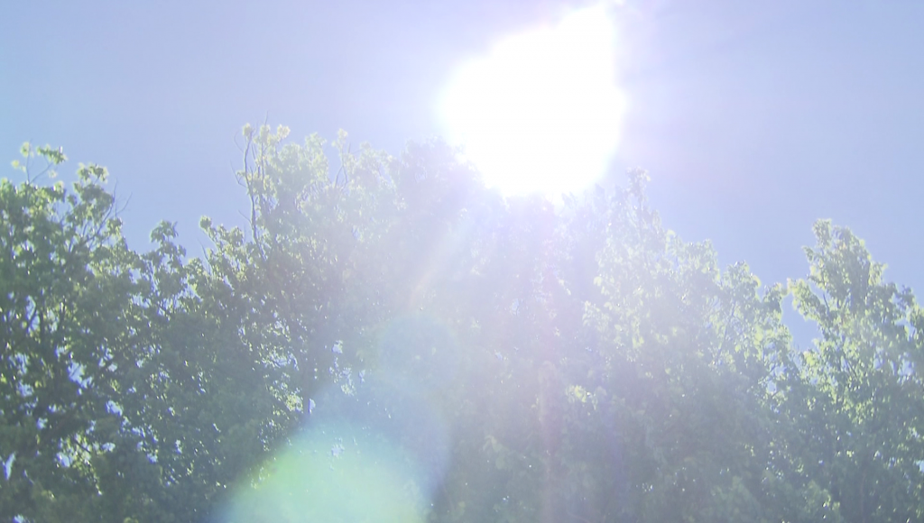 A sun is pictured against a blue sky above a treeline