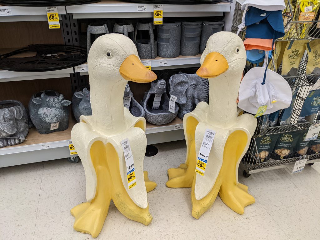 duck banana statue at London Drugs