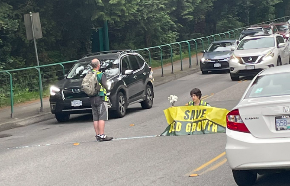 Save Old Growth protest affecting Lions Gate Bridge cleared