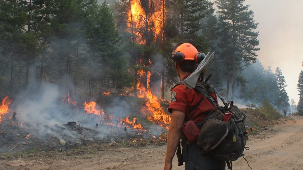 Planned ignitions in the area of the Keremeos Creek wildfire