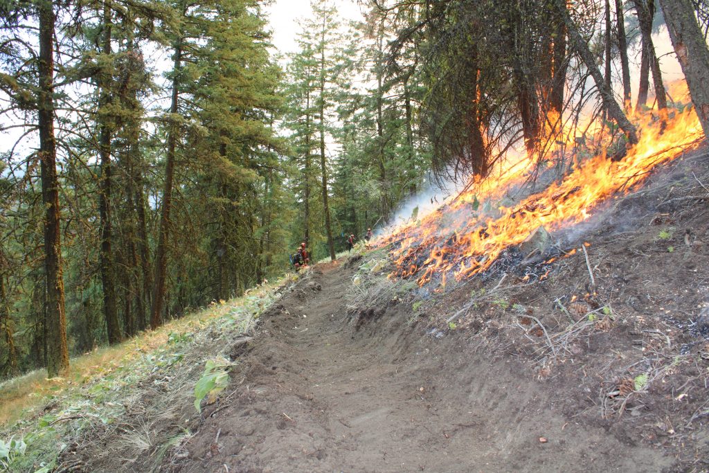 Planned ignitions in the area of the Keremeos Creek wildfire