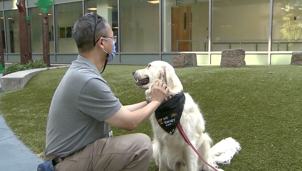 Dog Dogs Therapy BC Children's Hospital B.C. Childrens Nurse