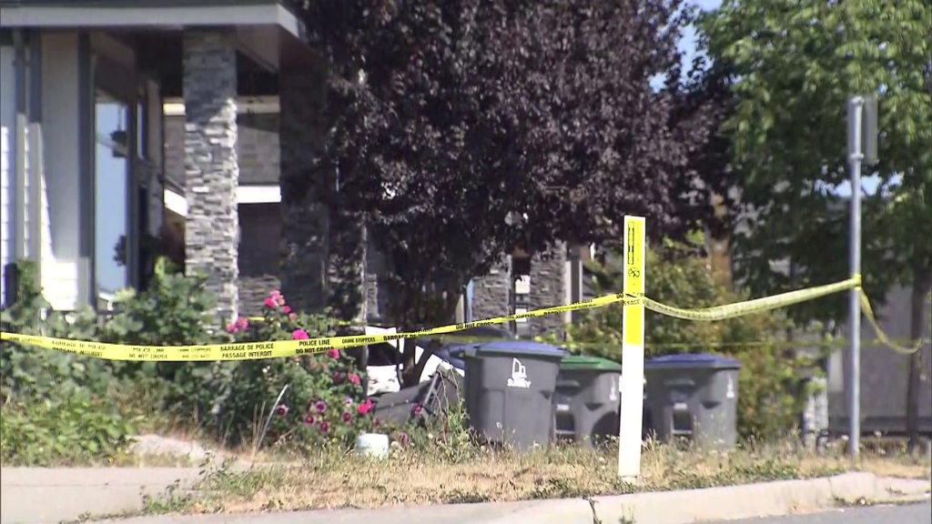 Surrey Fatal Altercation Neighbours