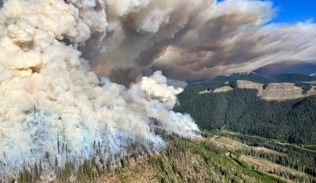 Wildfires in B.C. causing evacuation alerts and orders