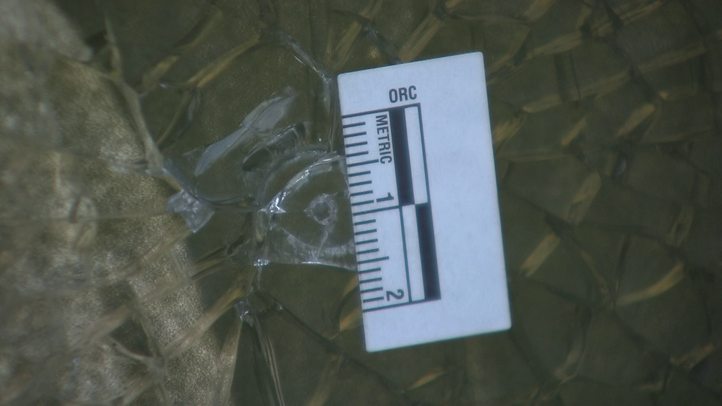 A glass memorial with the photo of a group from the Komagata Maru ship