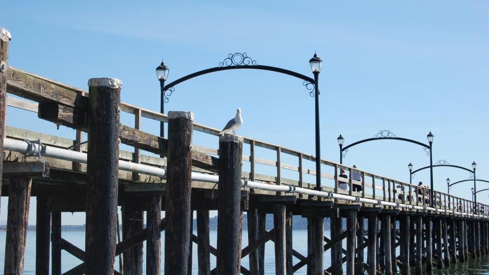 The White Rock Pier