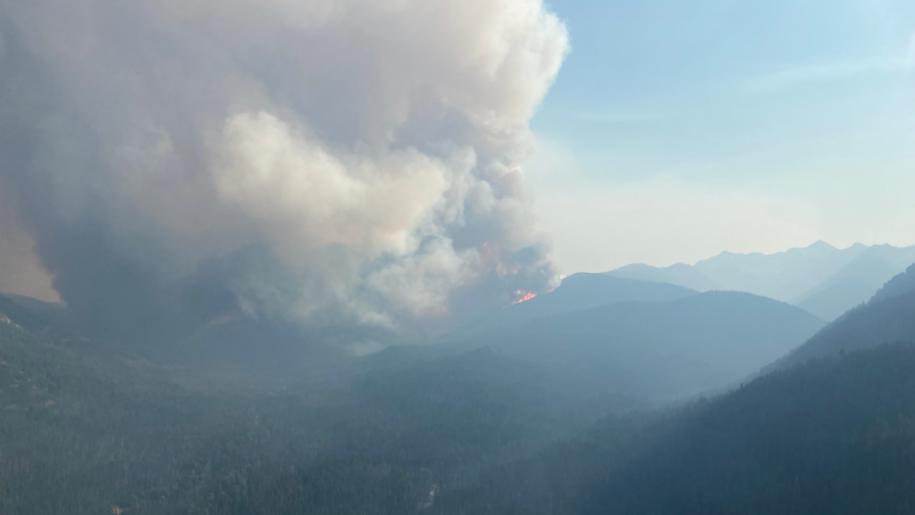 The BC Wildfire Service says crews have already doused a dozen fires in the southern Interior this year. (Courtesy, BC Wildfire Service/Twitter)