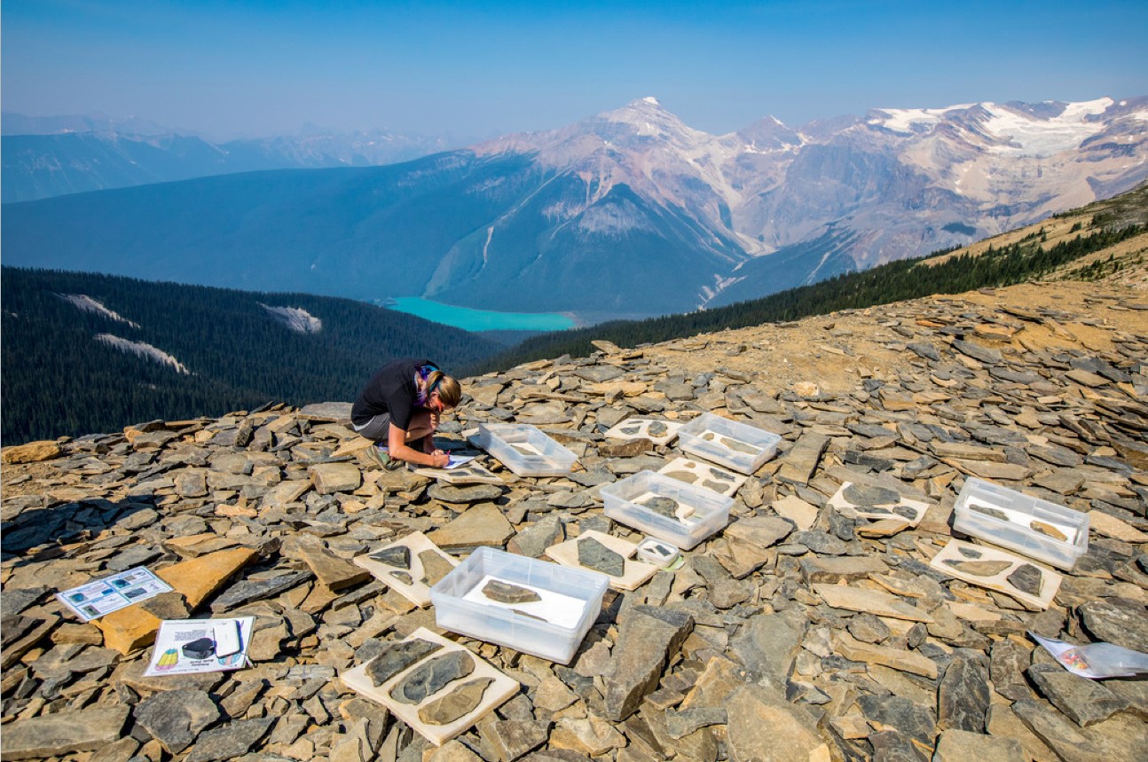 BC Burgess Shale internationally recognized CityNews Vancouver