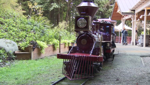 train in front of station 