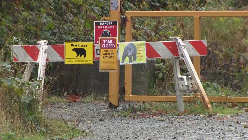 Trail closed signs and barricades in front of a forest