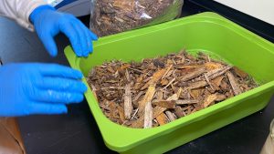 wood chips in green bucket