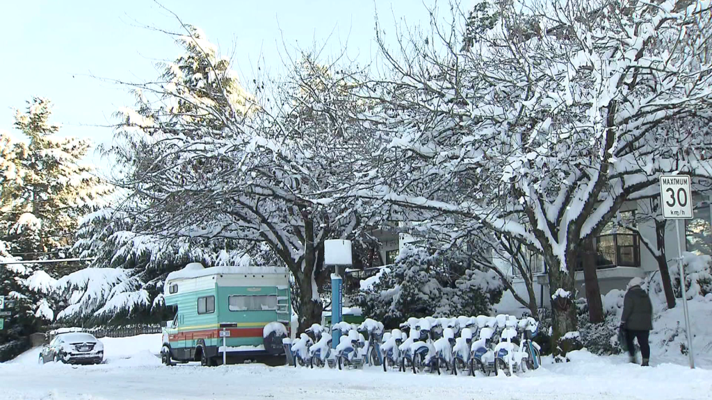 Metro Vancouver residents call on cities to prepare as 'Snowmageddon' anniversary nears