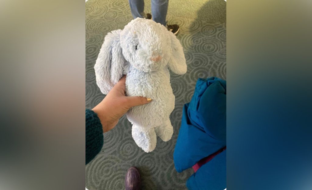 Someone holding a stuffed bunny that was found at YVR