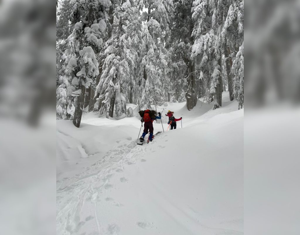 skier being rescued from avalanche