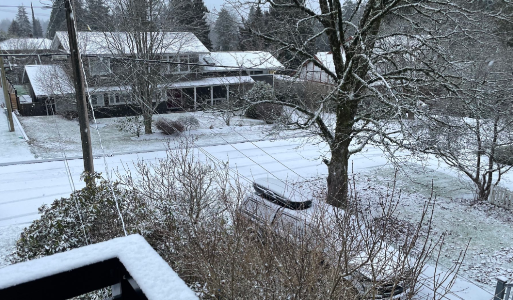 Snow in North Vancouver on Jan. 31, 2023