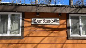 a brown shed that helps house baby hummingbirds