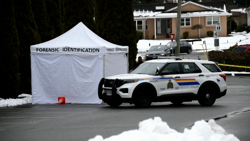 Police investigate a homicide in a Maple Ridge parking lot