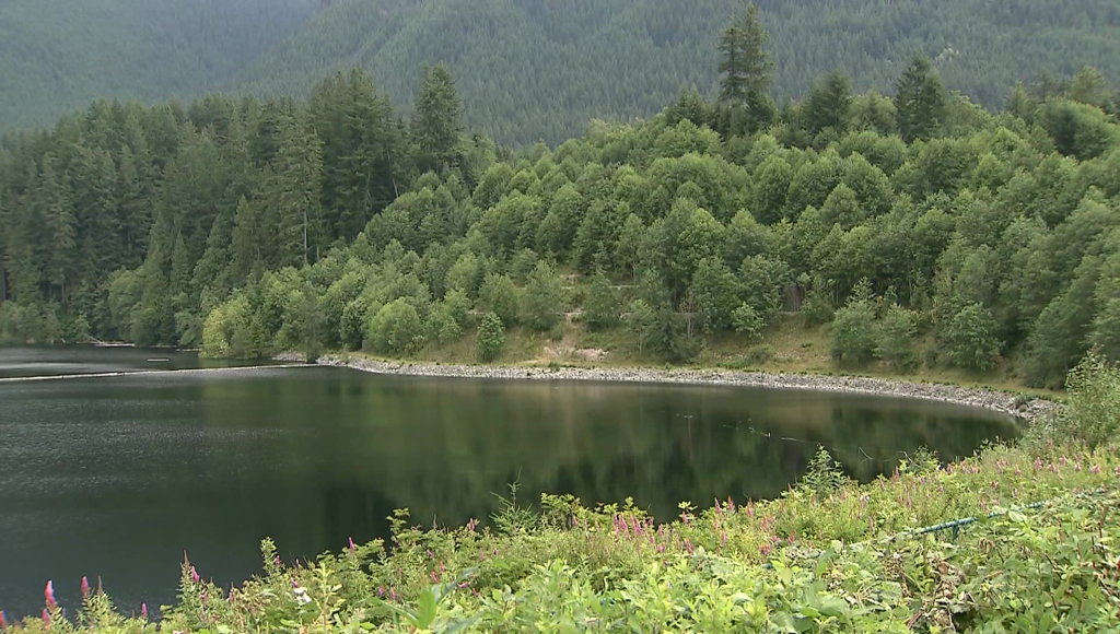 A forest watershed in B.C. is shown.