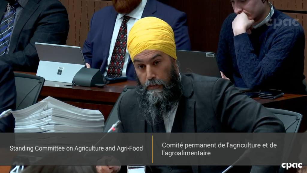 NDP Leader Jagmeet Singh at a committee meeting where grocery store executives were being grilled by MPs about inflation costs
