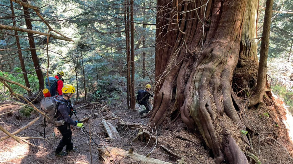 North Shore Rescue members during a call