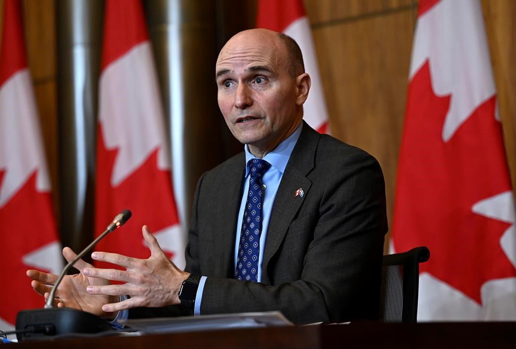 Minister of Health Jean-Yves Duclos speaks in front of Canadian flags.