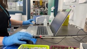 a person tests drugs on a laptop. Although Get Your Drugs Tested in Vancouver says fentanyl continues to be the most common substance they find when testing drugs obtained on the streets, there has also been an increase in Xylazine showing up in their testing.