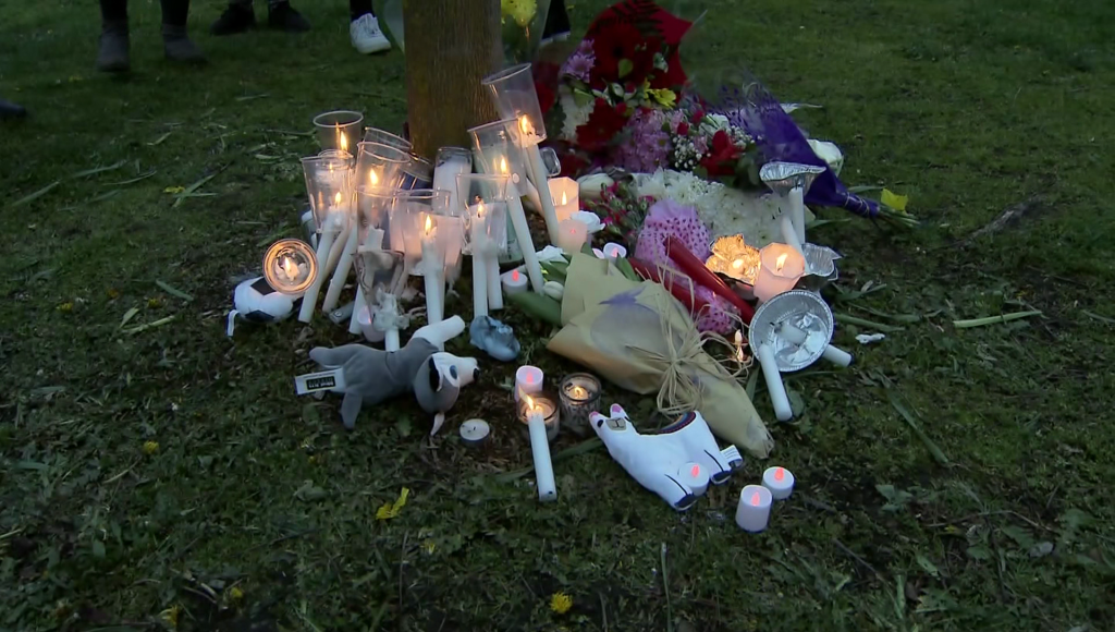 Famiyl and friends gather on a field in Surrey for a candle light vigil