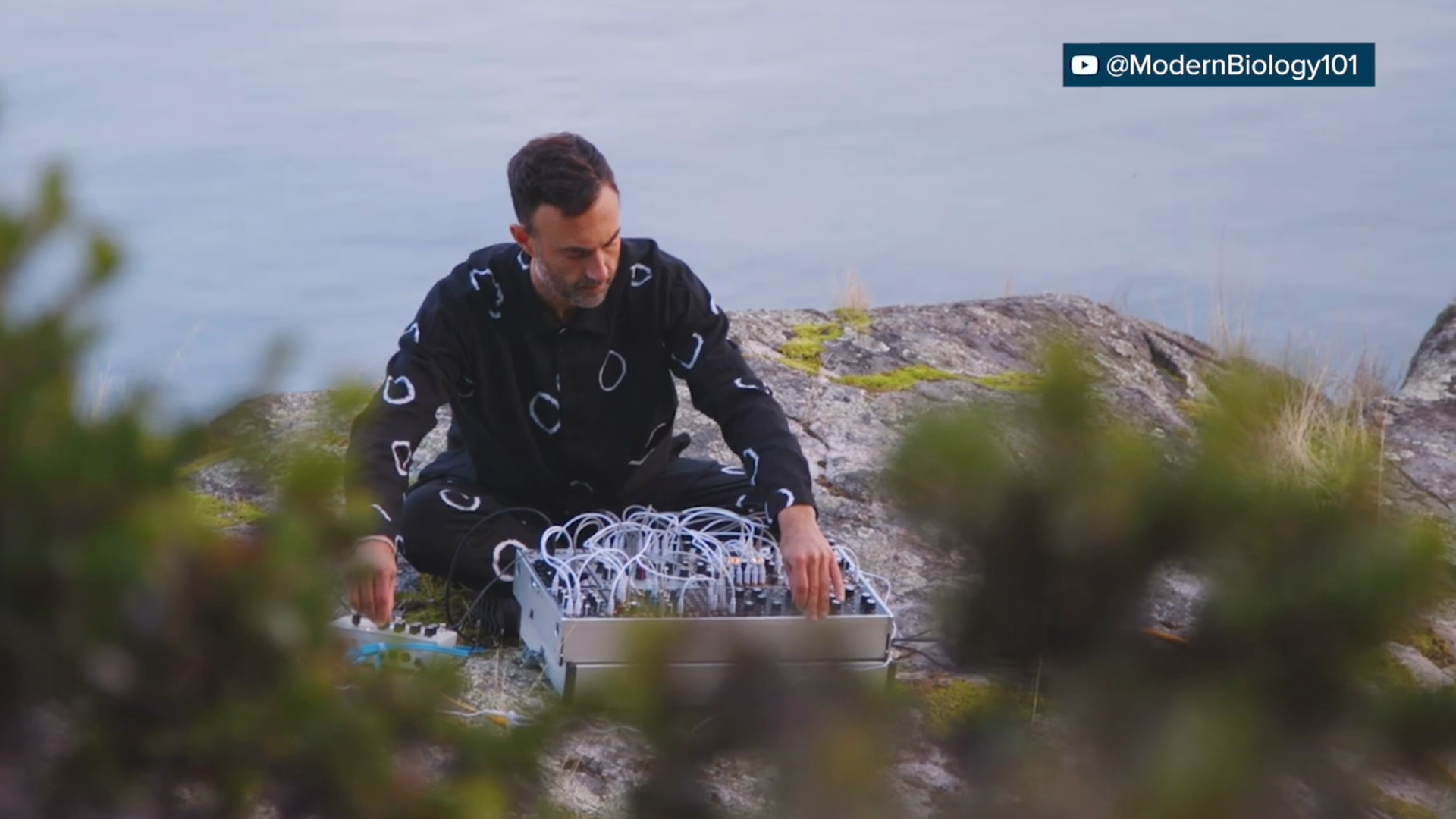 A person is seen sitting with plants and music equipment near a body of water.