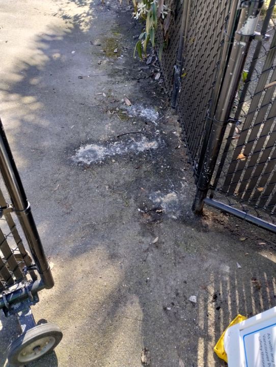 A pile of what appears to be vomit near Sunset Beach in Vancouver