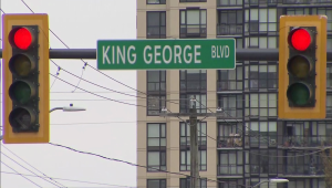 Surrey health-care workers demand immigration justice