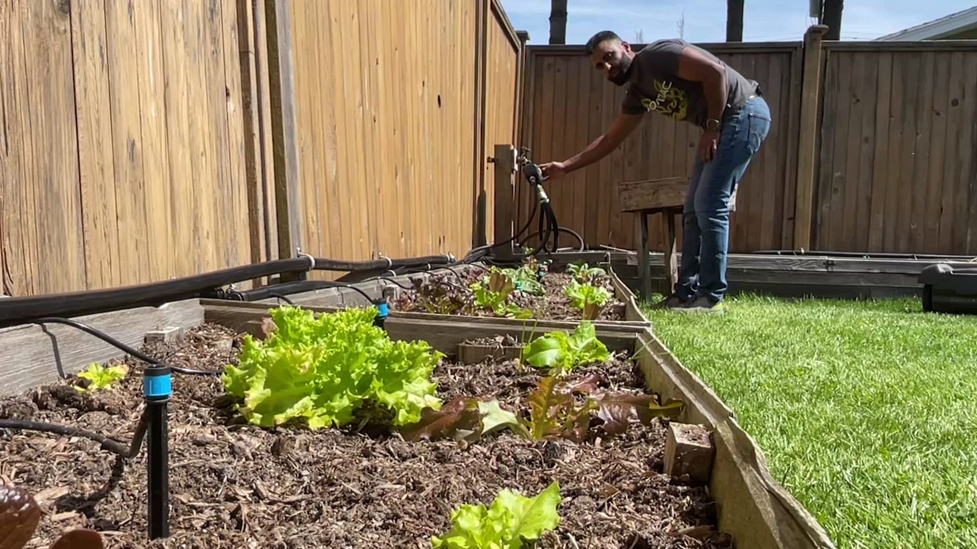 Andy Baryer - garden 2 A man stands in his yard with his garden on a sunny day.