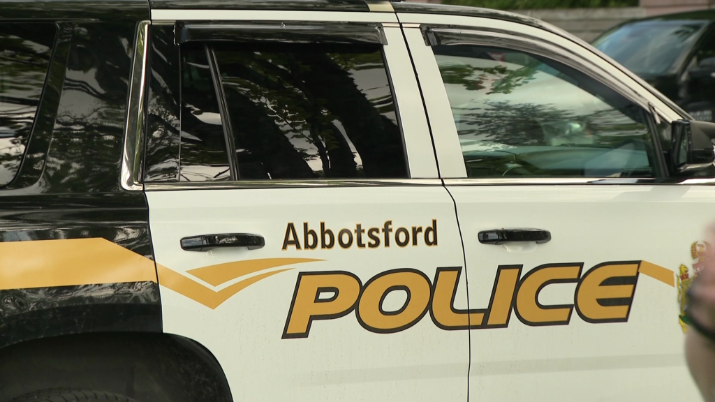 Pedestrian hit by car critically hurt: Abbotsford police
