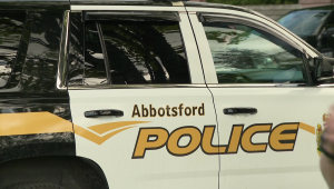 Girl sexually assaulted at Abbotsford park, police investigating
